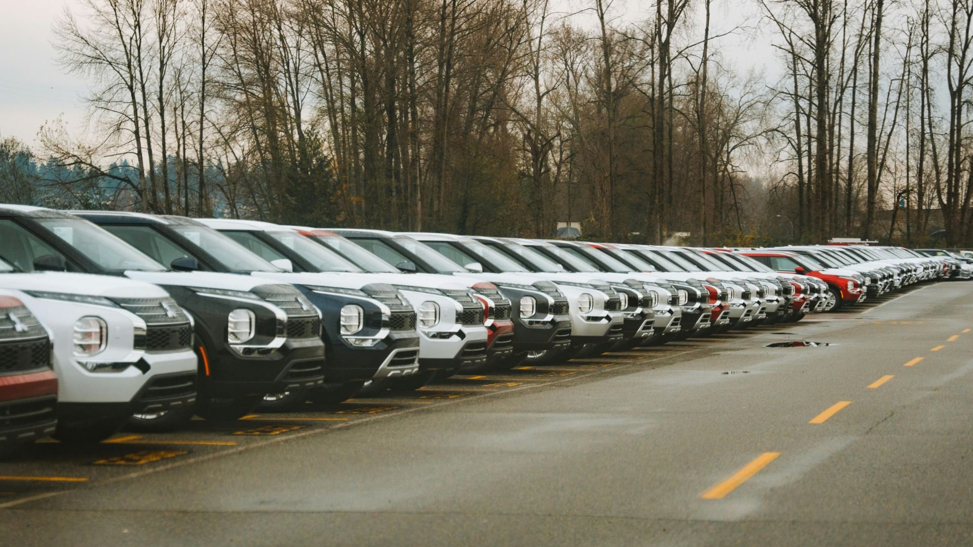 Row of new SUVs in white, gray, and red parked near forest